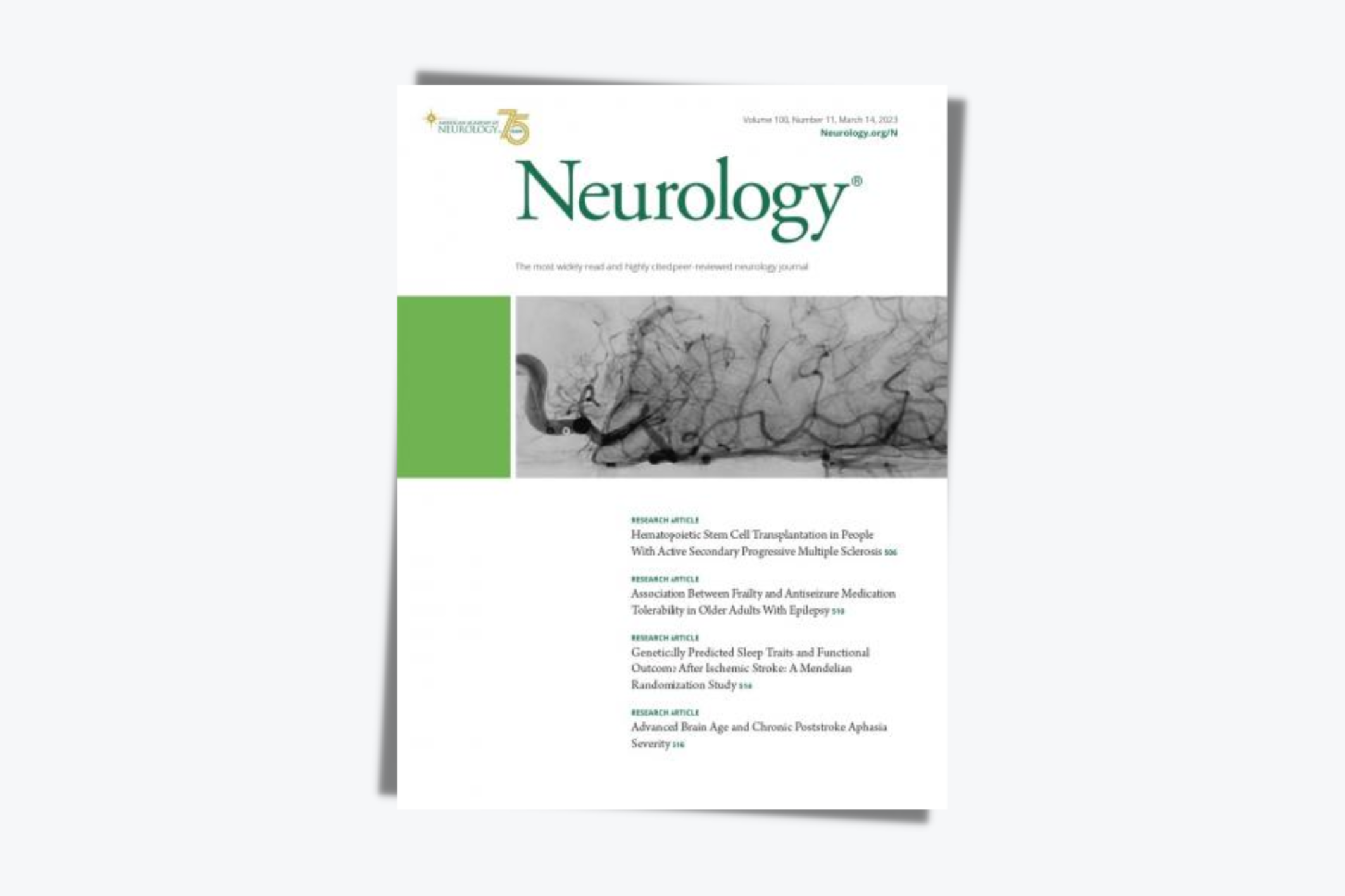 Validation of the NIH Toolbox Cognitive Battery in intellectual disability